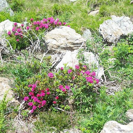 בית הארחה קוליו 	Agriturismo Cornei Da Nadia מראה חיצוני תמונה